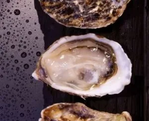 6 RESERVE
