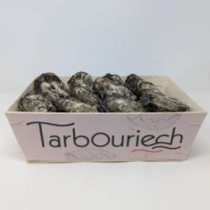 Huitres Tarbouriech N4 Bourriche